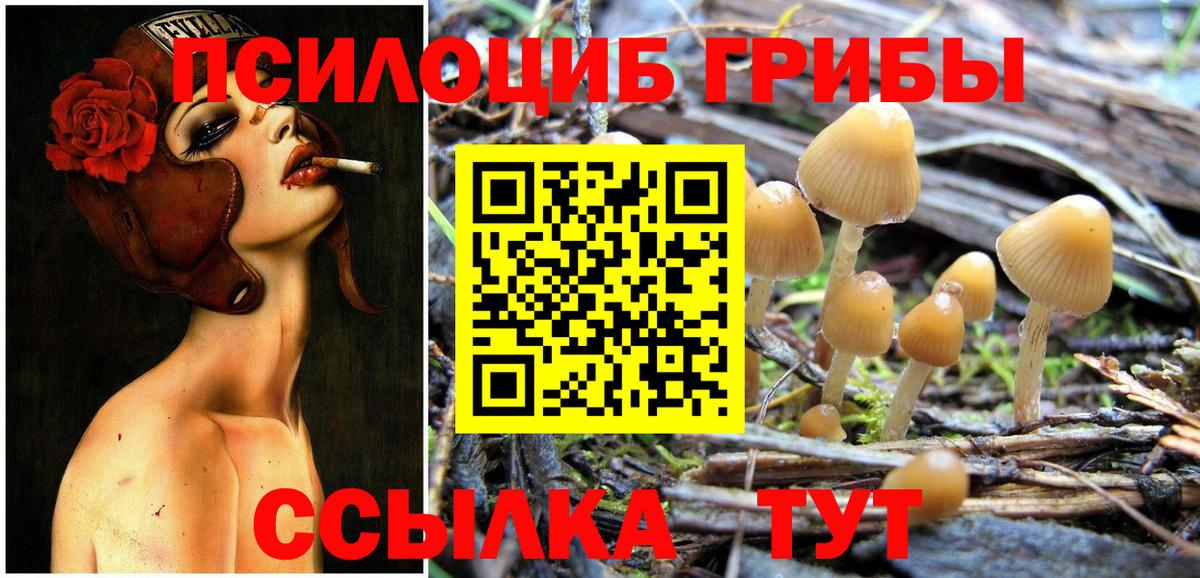 Галлюциногенные грибы Psilocybine cubensis Нижнекамск