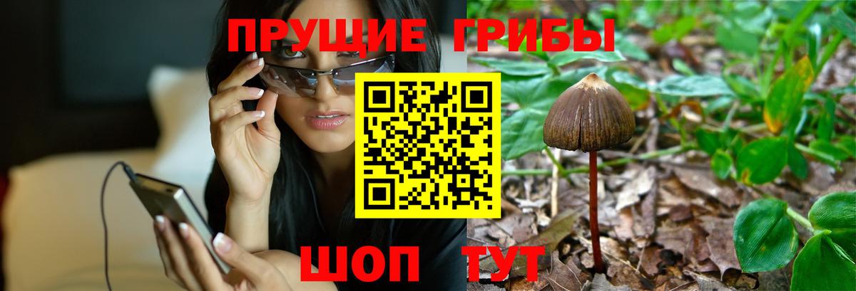 Нижнекамск  Галлюциногенные грибы мицелий  Вход с VPN 